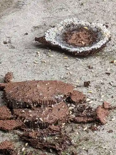 石内のお大師さん　金剛院(広島県)