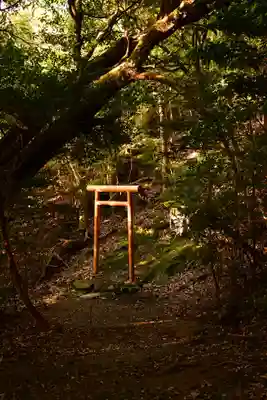大元神社（宇佐神宮奥宮）(大分県)