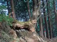 大山阿夫利神社本社(神奈川県)