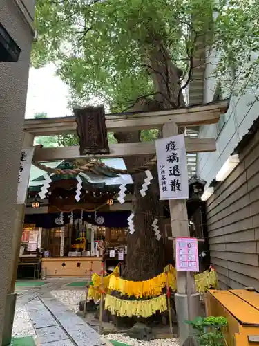 少彦名神社の鳥居