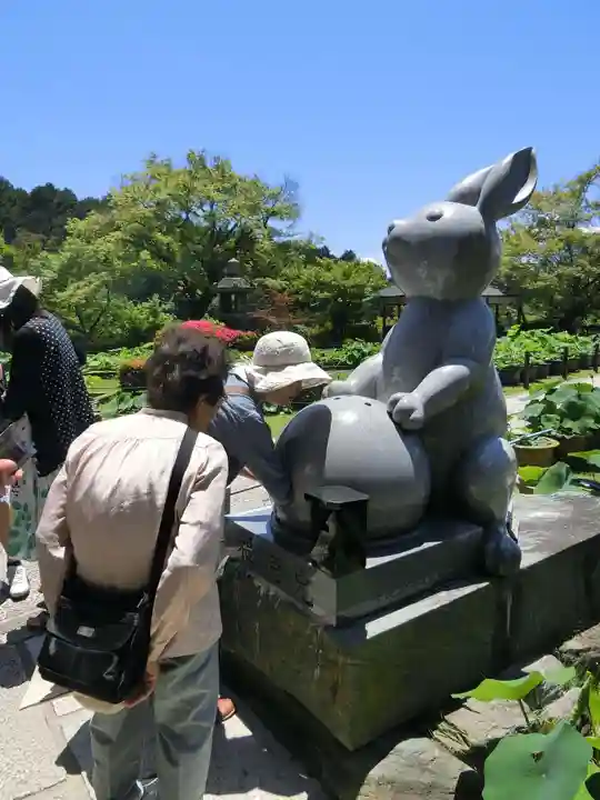 三室戸寺の狛犬