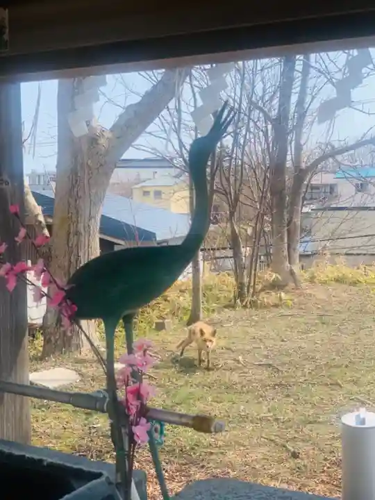 釧路一之宮 厳島神社の動物