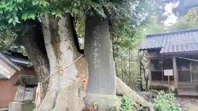竹内神社(千葉県)
