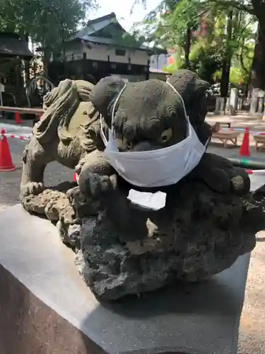 田無神社の狛犬