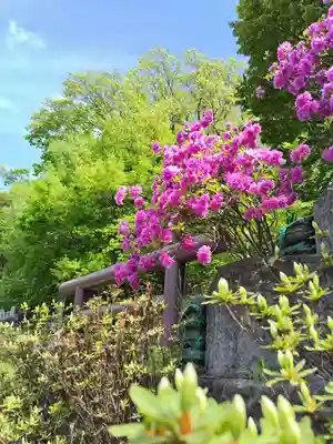 厚別神社(北海道)