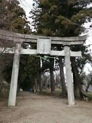 千代ケ岡八幡宮の鳥居