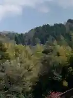 須我神社奥宮の{uncategorized: "未分類", other: "その他", undefined: "問題あり", building: "その他建物", grave: "お墓", sacred_gate: "鳥居", guardian: "狛犬", statue: "像", buddha: "仏像", history: "歴史", nature: "自然", garden: "庭園", animal: "動物", pagoda: "塔", temizu: "手水舎", mountain_gate: "山門・神門", sanctuary: "本殿・本堂", subordinate: "末社・摂社", art: "芸術", scenery: "景色", jizo: "地蔵", ema: "絵馬", goshuin: "御朱印", omikuji: "おみくじ", items: "授与品その他", amulet: "お守り", goshuincho: "御朱印帳", eats: "食事", festival: "お祭り", votive_dance: "神楽", shichigosan: "七五三参", wedding: "結婚式", experience: "体験その他", initially: "初詣", around: "周辺", anti_infection: "感染症対策"}