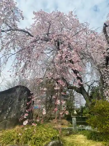 境香取神社の自然