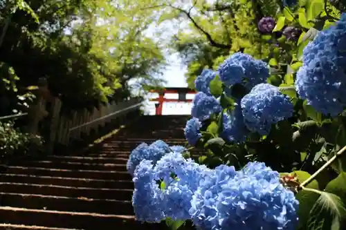 丹生官省符神社の建物その他