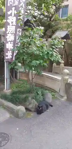 小野照崎神社の動物