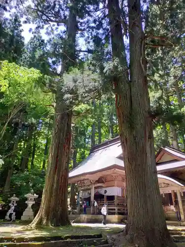 大山祇神社の本殿・本堂