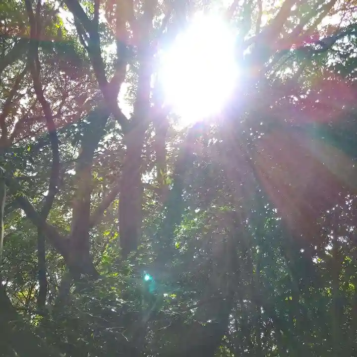 普門寺(切り絵御朱印発祥の寺)の自然