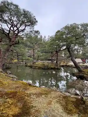 慈照寺（慈照禅寺・銀閣寺）(京都府)