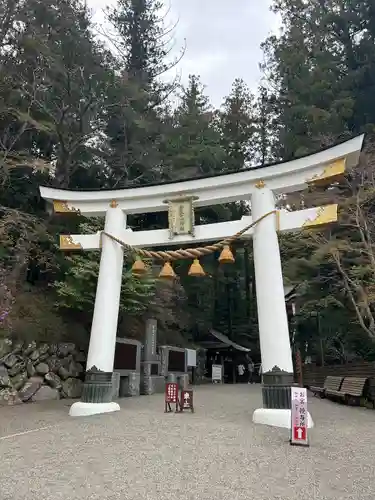 宝登山神社(埼玉県)