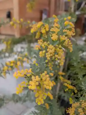 駒込妙義神社(東京都)