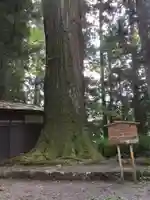 一宮神社の自然