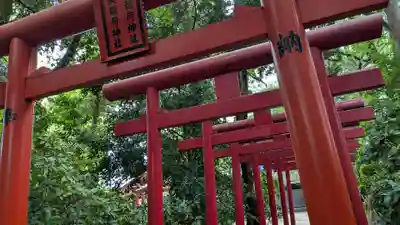 荒熊白髭稲荷神社の鳥居