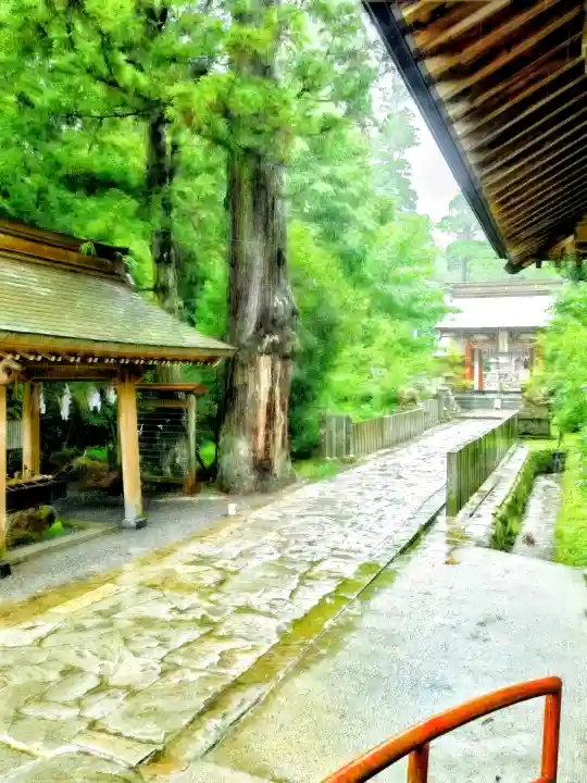 宇奈岐日女神社(大分県)