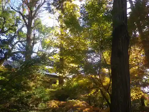 鶴岡八幡宮の自然