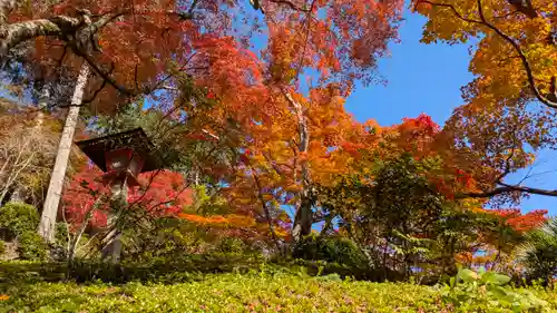 善峯寺(京都府)