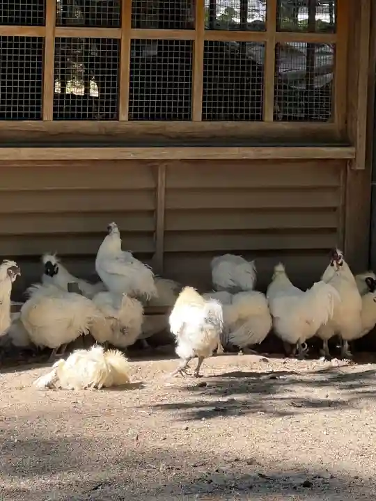 身曾岐神社(山梨県)