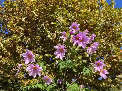 瀧泉寺（目黒不動尊）(東京都)