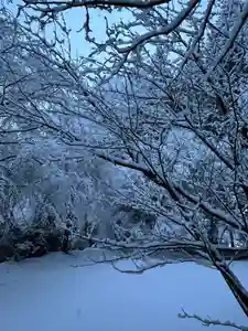 大宮温泉神社(栃木県)(2024年02月06日(火) 07時43分52秒投稿)