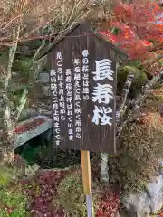 百済寺の建物その他