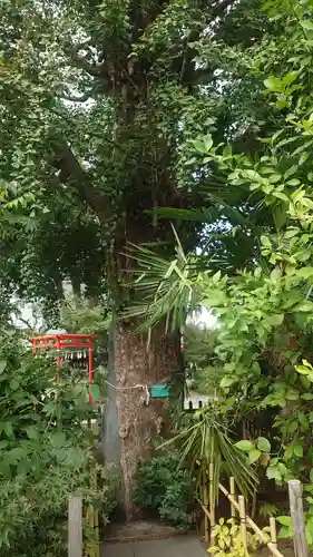成子天神社(東京都)