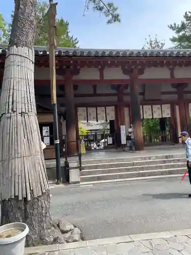 唐招提寺(奈良県)