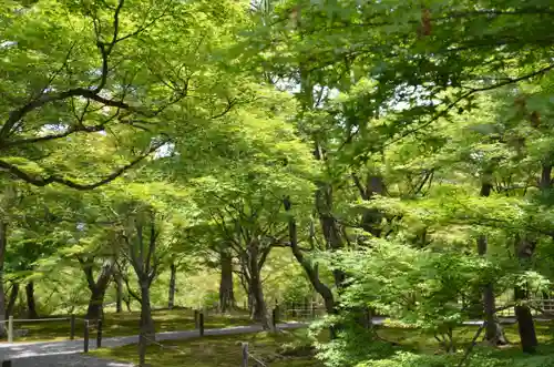 東福禅寺（東福寺）(京都府)