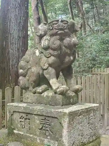 椿大神社の狛犬