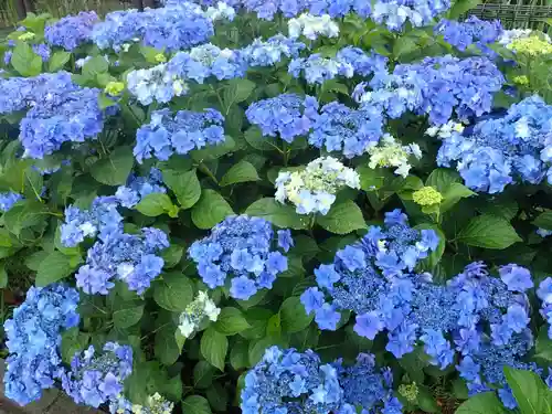 瀬戸神社(神奈川県)