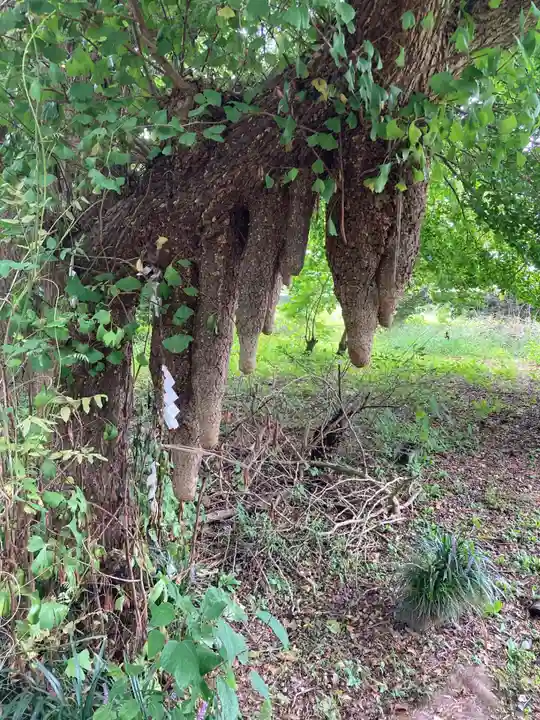東征神社(茨城県)