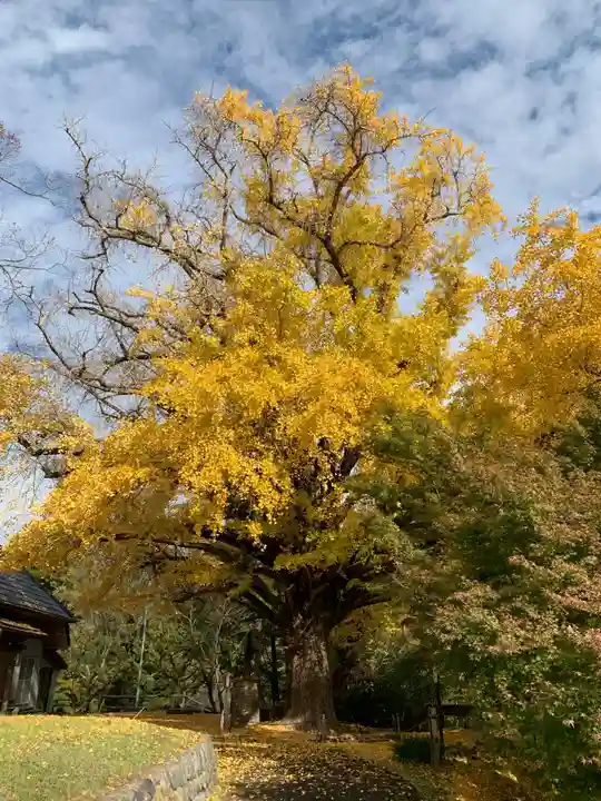 観音堂(千葉県)