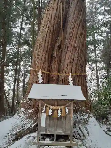 鎮守府八幡宮(岩手県)