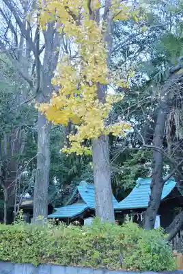 稲毛神社(神奈川県)