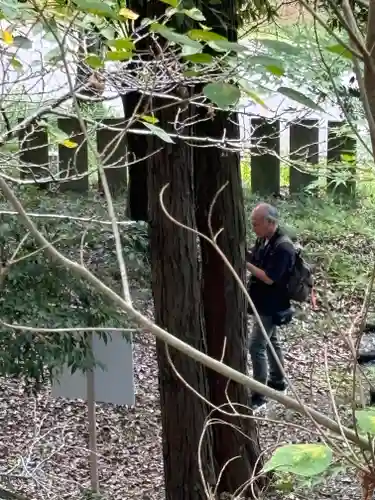 古法華寺（多聞寺境外仏堂）のその他建物