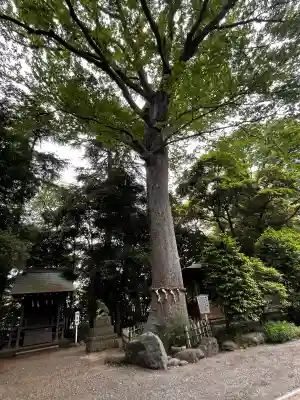 前鳥神社の{uncategorized: "未分類", other: "その他", undefined: "問題あり", building: "その他建物", grave: "お墓", sacred_gate: "鳥居", guardian: "狛犬", statue: "像", buddha: "仏像", history: "歴史", nature: "自然", garden: "庭園", animal: "動物", pagoda: "塔", temizu: "手水舎", mountain_gate: "山門・神門", sanctuary: "本殿・本堂", subordinate: "末社・摂社", art: "芸術", scenery: "景色", jizo: "地蔵", ema: "絵馬", goshuin: "御朱印", omikuji: "おみくじ", items: "授与品その他", amulet: "お守り", goshuincho: "御朱印帳", eats: "食事", festival: "お祭り", votive_dance: "神楽", shichigosan: "七五三参", wedding: "結婚式", experience: "体験その他", initially: "初詣", around: "周辺", anti_infection: "感染症対策"}