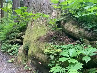 戸隠神社九頭龍社(長野県)