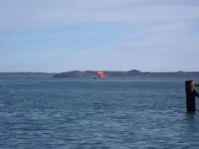 牡蠣島辨天神社の本殿・本堂