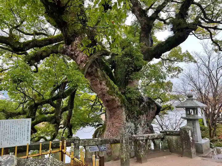 與止日女神社(佐賀県)