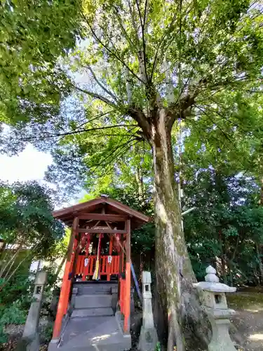 吉祥院天満宮(京都府)