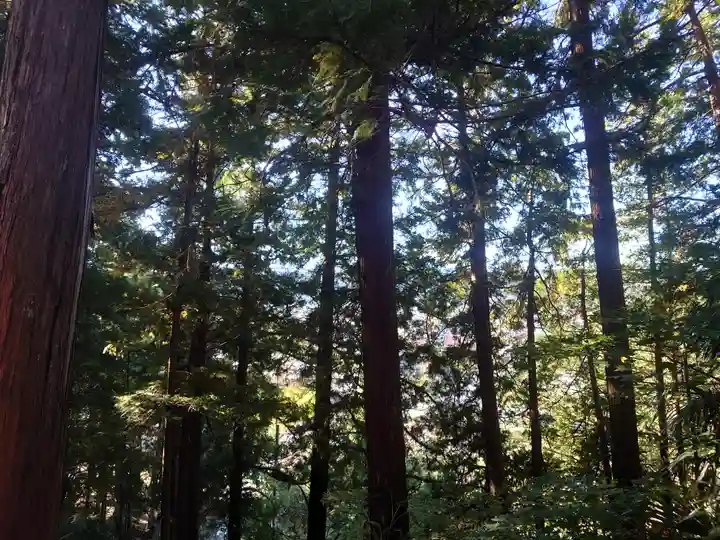 虚空蔵寺(埼玉県)
