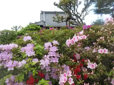 経王寺(東京都)