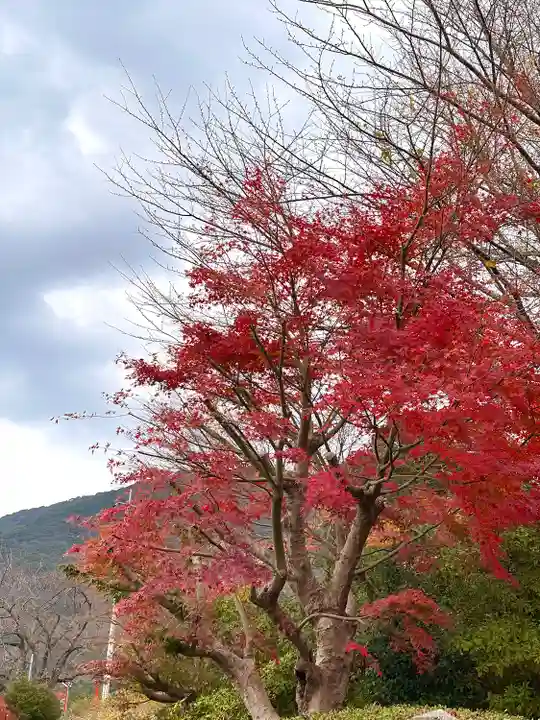 足立山妙見宮(御祖神社)(福岡県)