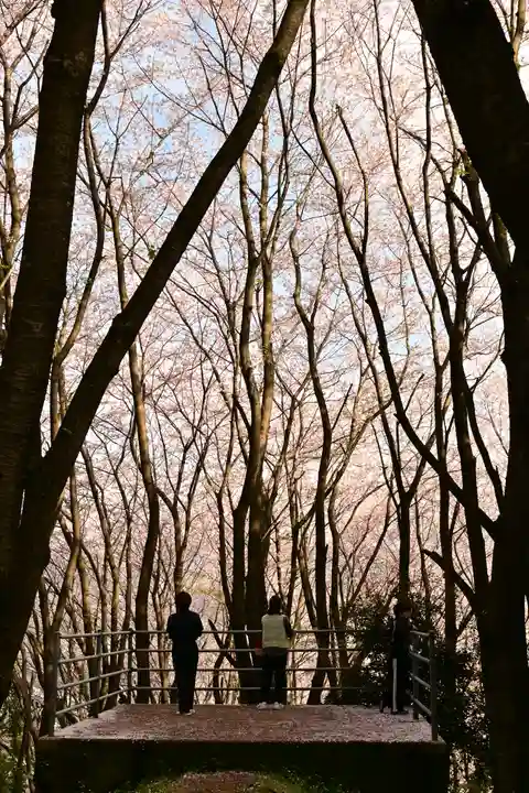 熊野神社(愛媛県)