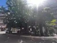 楠木大神(大阪府)