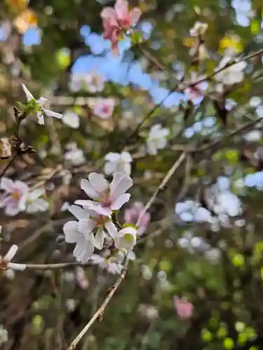 伊佐須美神社(福島県)
