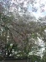 延寿院(千葉県)